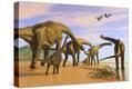 Stretched Canvas Print