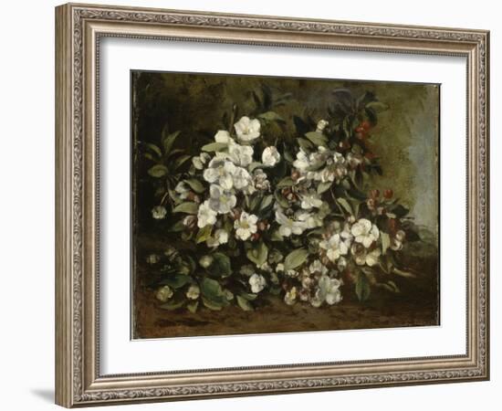 A Branch of Apple Blossoms also Said Cherry Blossoms-Gustave Courbet-Framed Giclee Print