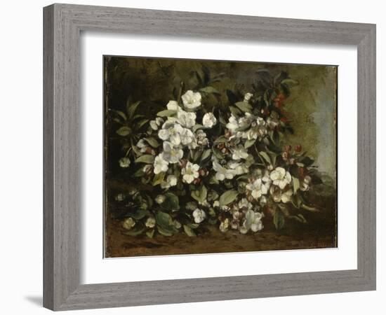 A Branch of Apple Blossoms also Said Cherry Blossoms-Gustave Courbet-Framed Giclee Print