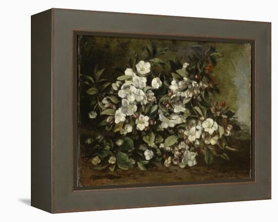 A Branch of Apple Blossoms also Said Cherry Blossoms-Gustave Courbet-Framed Premier Image Canvas
