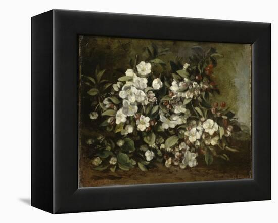 A Branch of Apple Blossoms also Said Cherry Blossoms-Gustave Courbet-Framed Premier Image Canvas