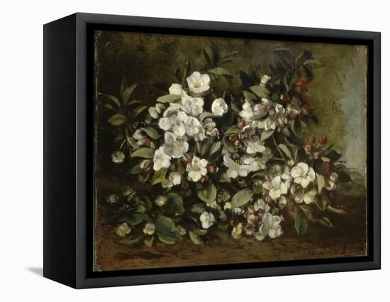 A Branch of Apple Blossoms also Said Cherry Blossoms-Gustave Courbet-Framed Premier Image Canvas