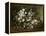 A Branch of Apple Blossoms also Said Cherry Blossoms-Gustave Courbet-Framed Premier Image Canvas