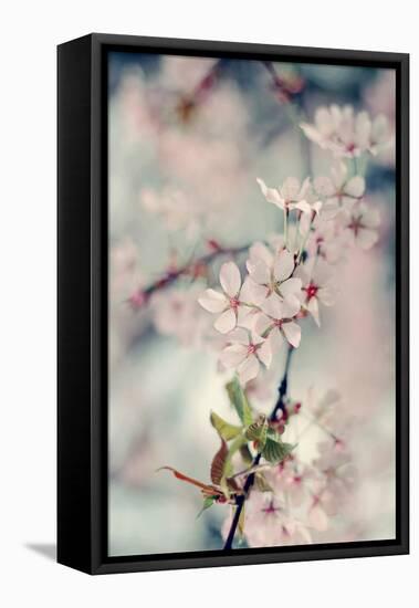 A Branch of Beauty Vertical-Sarah Gardner-Framed Premier Image Canvas