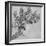 'A Branch of Blackberry', c1480 (1945)-Leonardo Da Vinci-Framed Giclee Print