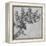 'A Branch of Blackberry', c1480 (1945)-Leonardo Da Vinci-Framed Premier Image Canvas