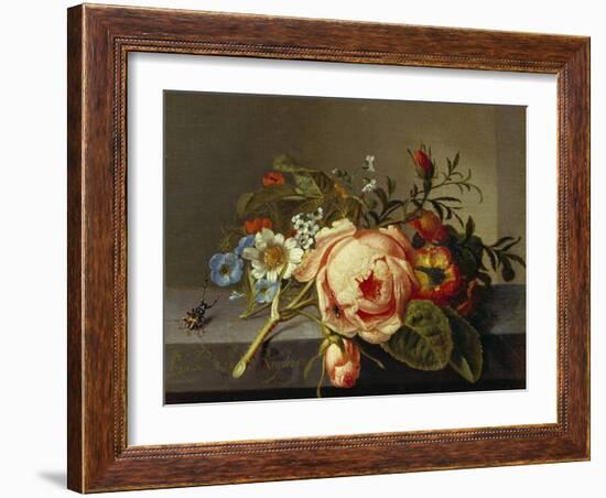 A Branch of Roses with Beetle and Bee, 1741-Rachel Ruysch-Framed Giclee Print