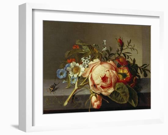 A Branch of Roses with Beetle and Bee, 1741-Rachel Ruysch-Framed Giclee Print