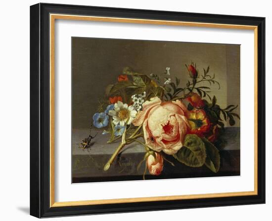 A Branch of Roses with Beetle and Bee, 1741-Rachel Ruysch-Framed Giclee Print