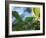 A Brassy-Breasted Tanager Feeding on Berries of a Palm Tree in the Atlantic Rainforest-Alex Saberi-Framed Photographic Print