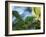 A Brassy-Breasted Tanager Feeding on Berries of a Palm Tree in the Atlantic Rainforest-Alex Saberi-Framed Photographic Print