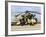 A Brazilian Air Force Ah-2 Sabre Helicopter-Stocktrek Images-Framed Photographic Print