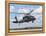 A Brazilian Air Force UH-60L Black Hawk at Natal Air Force Base, Brazil-Stocktrek Images-Framed Premier Image Canvas