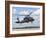 A Brazilian Air Force UH-60L Black Hawk at Natal Air Force Base, Brazil-Stocktrek Images-Framed Photographic Print