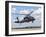 A Brazilian Air Force UH-60L Black Hawk at Natal Air Force Base, Brazil-Stocktrek Images-Framed Photographic Print