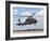 A Brazilian Air Force UH-60L Black Hawk at Natal Air Force Base, Brazil-Stocktrek Images-Framed Photographic Print