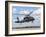 A Brazilian Air Force UH-60L Black Hawk at Natal Air Force Base, Brazil-Stocktrek Images-Framed Photographic Print