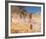 A break away!-Tom Roberts-Framed Giclee Print