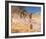 A break away!-Tom Roberts-Framed Giclee Print