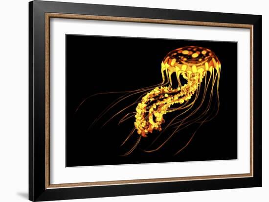 A Brightly Colored Bioluminescent Jellyfish-null-Framed Art Print