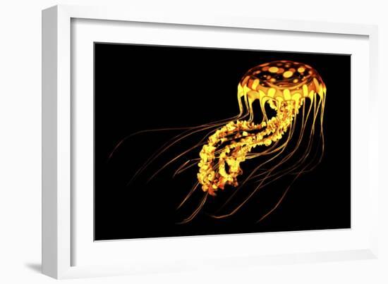 A Brightly Colored Bioluminescent Jellyfish-null-Framed Art Print