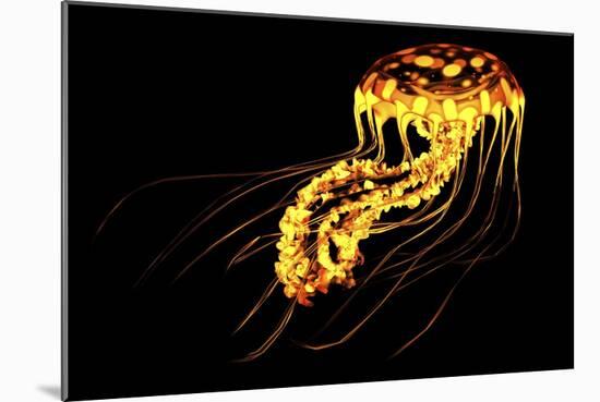 A Brightly Colored Bioluminescent Jellyfish-null-Mounted Art Print