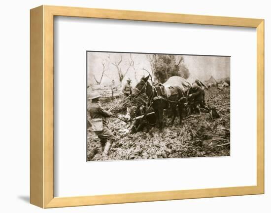 A British ammunition column finds it hard going, World War I, c1914-c1918-Unknown-Framed Photographic Print