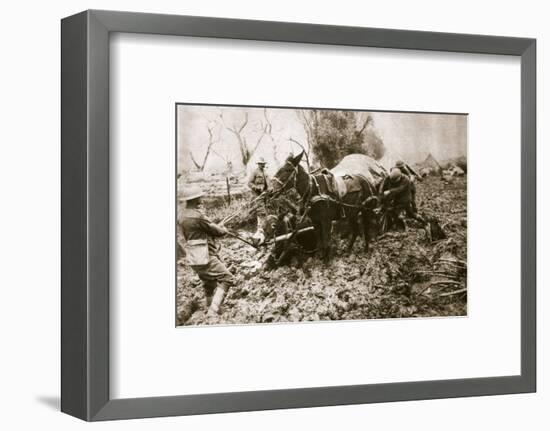 A British ammunition column finds it hard going, World War I, c1914-c1918-Unknown-Framed Photographic Print