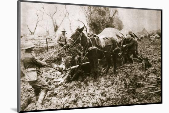 A British ammunition column finds it hard going, World War I, c1914-c1918-Unknown-Mounted Photographic Print