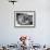 A British Bulldog Stands Proudly Behind a Union Jack Flag on a Car Bonnet-null-Framed Photographic Print displayed on a wall