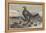 A Brood of Partridges-Harrison William Weir-Framed Premier Image Canvas