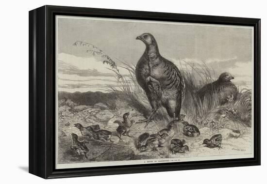 A Brood of Partridges-Harrison William Weir-Framed Premier Image Canvas