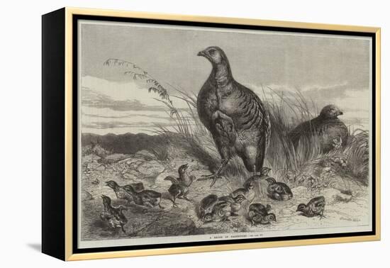 A Brood of Partridges-Harrison William Weir-Framed Premier Image Canvas