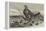A Brood of Partridges-Harrison William Weir-Framed Premier Image Canvas