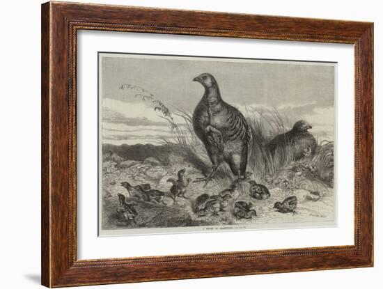 A Brood of Partridges-Harrison William Weir-Framed Giclee Print