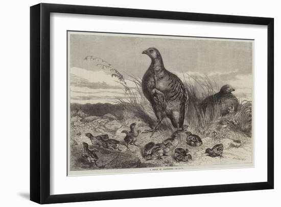 A Brood of Partridges-Harrison William Weir-Framed Giclee Print