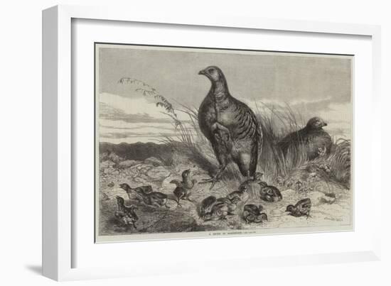 A Brood of Partridges-Harrison William Weir-Framed Giclee Print