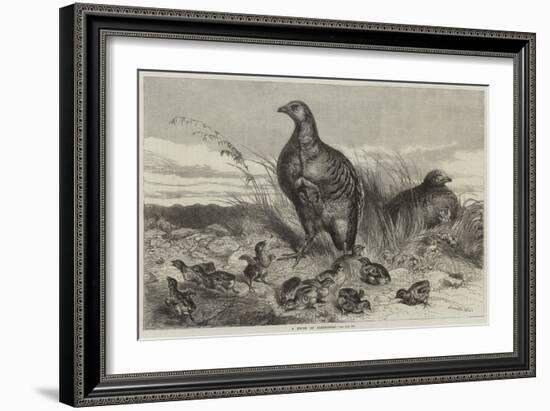 A Brood of Partridges-Harrison William Weir-Framed Giclee Print