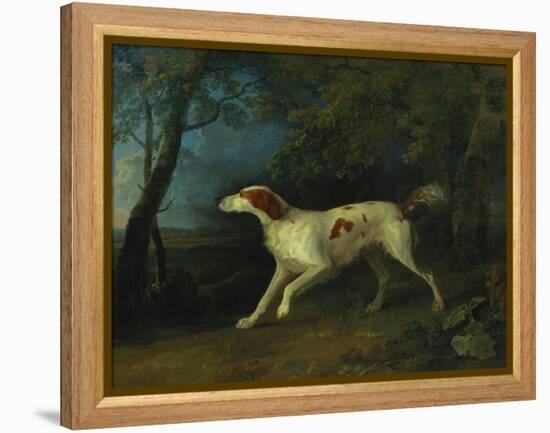 A Brown and White Setter in a Wooded Landscape, 1773-Sawrey Gilpin-Framed Premier Image Canvas