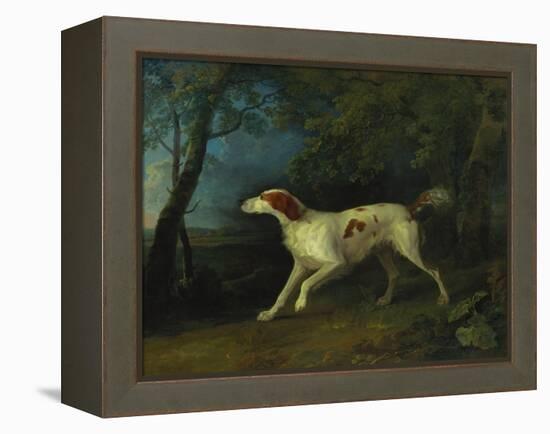 A Brown and White Setter in a Wooded Landscape, 1773-Sawrey Gilpin-Framed Premier Image Canvas