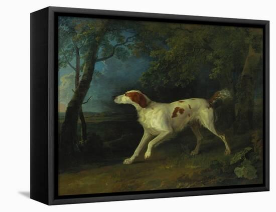 A Brown and White Setter in a Wooded Landscape, 1773-Sawrey Gilpin-Framed Premier Image Canvas