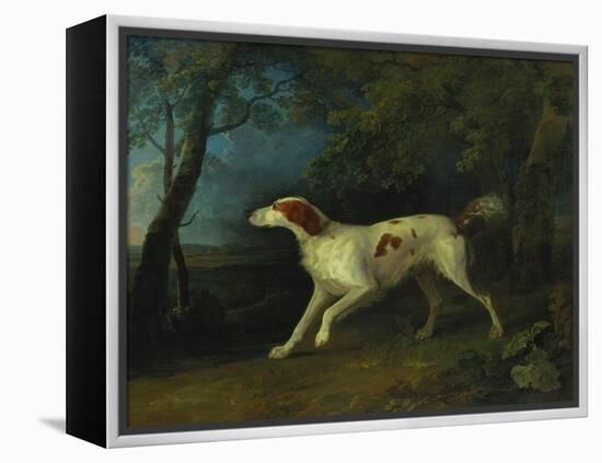 A Brown and White Setter in a Wooded Landscape, 1773-Sawrey Gilpin-Framed Premier Image Canvas