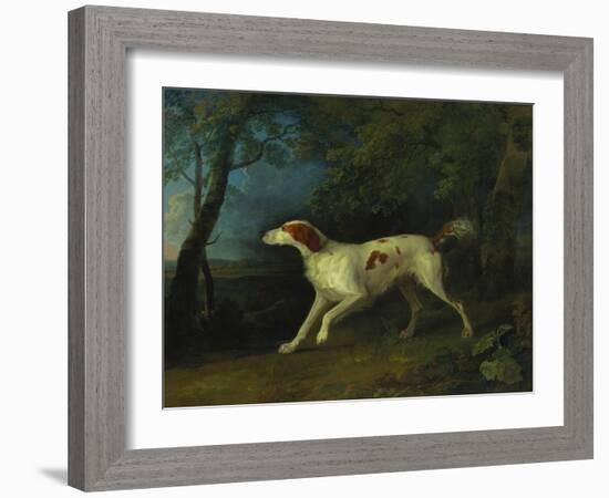 A Brown and White Setter in a Wooded Landscape, 1773-Sawrey Gilpin-Framed Giclee Print