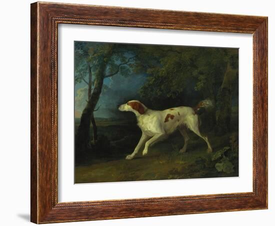 A Brown and White Setter in a Wooded Landscape, 1773-Sawrey Gilpin-Framed Giclee Print