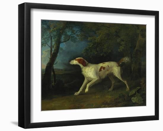 A Brown and White Setter in a Wooded Landscape, 1773-Sawrey Gilpin-Framed Giclee Print