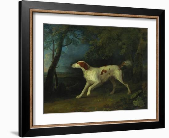 A Brown and White Setter in a Wooded Landscape, 1773-Sawrey Gilpin-Framed Giclee Print