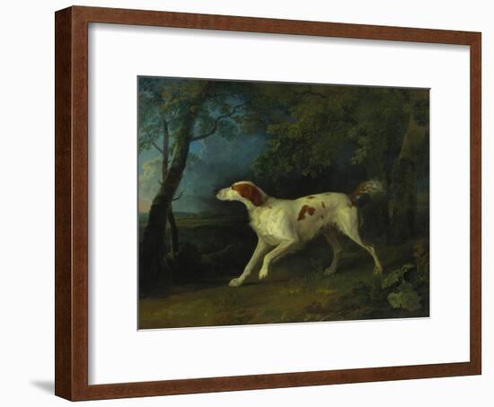 A Brown and White Setter in a Wooded Landscape, 1773-Sawrey Gilpin-Framed Giclee Print