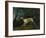 A Brown and White Setter in a Wooded Landscape, 1773-Sawrey Gilpin-Framed Giclee Print