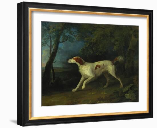 A Brown and White Setter in a Wooded Landscape, 1773-Sawrey Gilpin-Framed Giclee Print