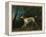 A Brown and White Setter in a Wooded Landscape-Sawrey Gilpin-Framed Premier Image Canvas